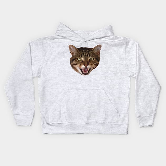 tabby cat meowing funny meme Kids Hoodie by maoudraw